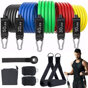 Bandes de Résistance en TPE Imprimées RS Fitness – Vente en Gros, Bandes Boucles Longues Élastiques Personnalisables pour <span class=keywords><strong>Musculation</strong></span>, Lot de Bandes de Résistance avec Logo Personnalisé - Product Image 1