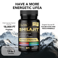 Compléments alimentaires en capsules de Shilajit de marque privée, stimulant énergétique, soutien immunitaire pour adultes, pilules de haute qualité pour la santé masculine