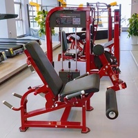 Machine professionnelle à charge par poulie pour soulevé de cuisse et extension de jambe, idéale pour la salle de sport