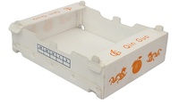Caisse de stockage respirante en plastique alvéolé pour fruits et légumes, boîte de circulation pour supermarché et récolte agricole, en PP