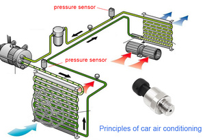 Capteur de température intégré PT100 avec sortie 0,5-4,5 V - Product Image 6