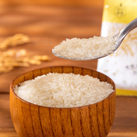Ventes directes d'usine Riz instantané prêt à manger Riz instantané Aliments instantanés naturels sains Riz Konjac hypocalorique