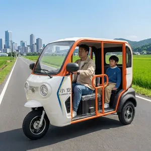 Mini véhicule <span class=keywords><strong>électrique</strong></span> ouvert pour personnes âgées, <span class=keywords><strong>tricycle</strong></span> <span class=keywords><strong>électrique</strong></span> 60V à basse vitesse pour les trajets domicile-travail, adapté au Japon - Product Image 1
