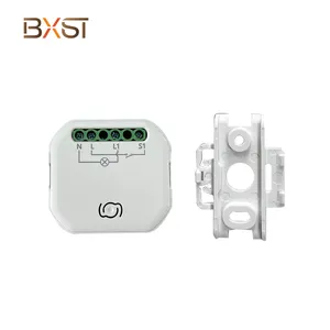 Factory Selling Wholesale Remote Control WiFi Smart Switch Module Wireless BlueTooth Mini Wifi Basic Switch 1 Gang Module L+N