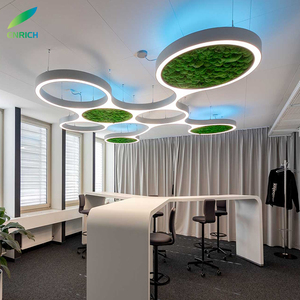 Luminaire LED moderne en mousse verte avec anneau en métal de 24 pouces Luminaire commercial en forme de cercle pour restaurant et hôtel - Product Image 5