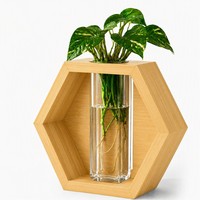 Vase mural hexagonal en bambou pour plantes, support de propagation hydroponique en verre, vente en gros, OEM ODM, personnalisable, mini format