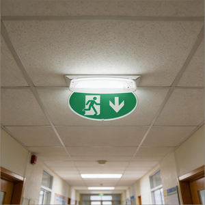 <span class=keywords><strong>Film</strong></span> indicateur remplaçable rétroéclairé Installation suspendue Lumière LED en plastique ultra-mince Signe de sortie d'urgence LiFePO4> 24m - Product Image 2