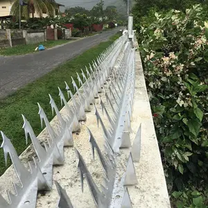 Cambri paslanmaz çelik Metal anti-tırmanma sıcak daldırma galvanizli güvenlik çit jilet köpekbalığı diş duvar sivri dikenli tel Defender
