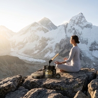 Extrait de résine de Shilajit personnalisé OEM/ODM, complément naturel de l'Himalaya avec oligo-éléments pour la santé globale du corps