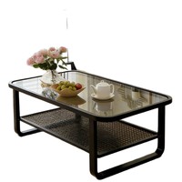 Table basse de rangement pour salon, usage domestique, style minimaliste moderne de luxe léger, pour petits appartements, en fer forgé, double niveau