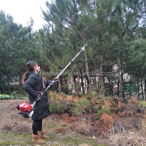 Motosega Telescopica a Benzina a 2 Tempi per Potatura Rami - Product Image 2