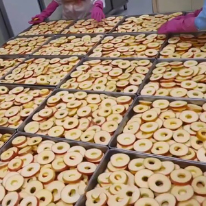 مجفف بالتجميد عالي الكفاءة، جهاز تجفيف بالتبريد من الفولاذ المقاوم للصدأ لحفظ المأكولات البحرية واللحوم - Product Image 5