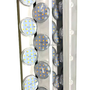 AC24V Auto-Vorprogrammierte Karnevals-LED-Spaßlichter Weiße Punktlichter 60mm 18LEDs 360 Grad IP66 Wasserdichte Pixel-Leuchte E14 - Product Image 3