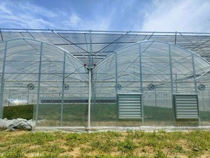 Melon Fruit Galvanisé Tuyau En Acier Cadre Multi-Span Agricole Serre Film Couverture Grande Taille Bonne Transmission De La Lumière - Product Image 6