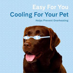Tapis rafraîchissant pour chien, échantillon gratuit, petit format - Activé par la pression pour chiens et chats, animaux de compagnie de petite taille (9-20 lb), gel non toxique, pas besoin d'eau - Product Image 5
