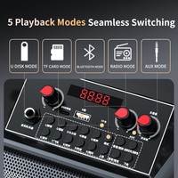 Enceinte Karaoké Portable BT 5.1 avec Poignée, Micros Sans Fil, 10W, Boombox 6.5 pouces, Haute Fidélité, Basses Puissantes, pour Fêtes Intérieures et Extérieures, KTV