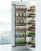 Organizer Kabinet Ramah Lingkungan Modern dengan 1 Rak Penyimpanan Tersembunyi untuk Dapur dan Pantry