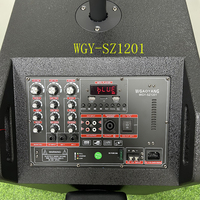 WGY-SZ1201 Altavoz Profesional de Alta Potencia con Bajos Estéreo, Altavoz Inalámbrico de Madera para Fiestas, Karaoke, Micrófono, Sistema de Sonido, Altavoz con Ruedas