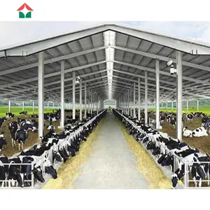 大品种种牛母牛钢结构建筑养殖大棚