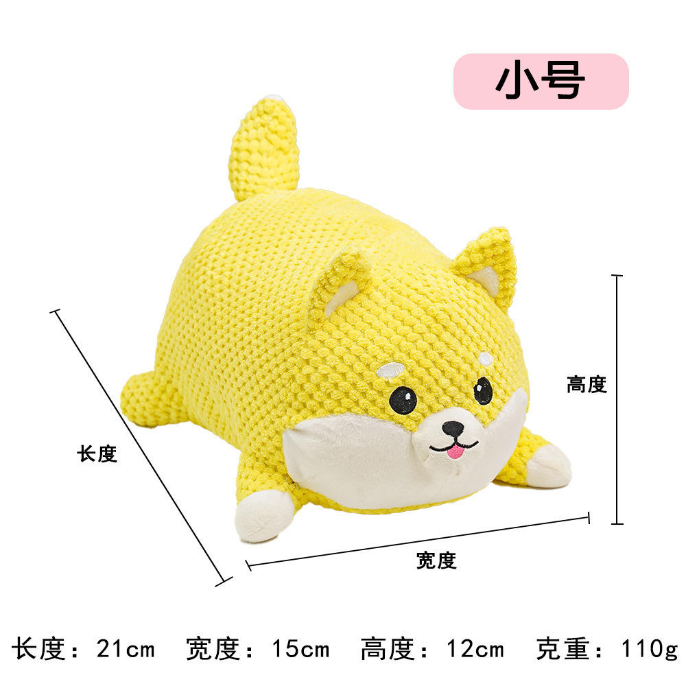 Small-sized yellow Corgi (pig-like sound)
