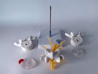 Modelo de Hernia Discal Lumbar Humana con Vértebras Desmontables para Quiroprácticos, Modelo de Columna Espinal de 3 Vértebras, CE/ISO