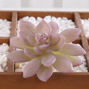 Accesorios de decoración de mesa, plantas artificiales falsas, venta al por mayor, <span class=keywords><strong>Echeveria</strong></span>, otras flores decorativas y plantas - Product Image 2