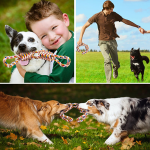 Ensemble de jouets pour chien en corde de coton tressée résistante aux morsures, jouet interactif d'entraînement pour animaux de compagnie en plein air - Product Image 5