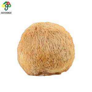 2024 Hot Selling Nieuwe Apenkop Paddestoel Leeuwenmanen Natuurlijke Kruidenkoekjes Bakkerij Thanksgiving Day Kerstviering - Product Image 1