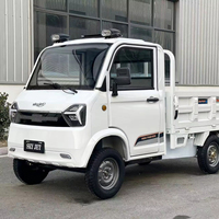 Mini fourgonnette électrique de livraison longue portée pour le transport quotidien dans les zones rurales