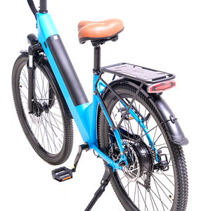 Vélo de loisirs électrique, 48V500W, sept vitesses, amortissement, frein à disque, feux avant et arrière, batterie au lithium - Product Image 5
