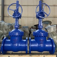Válvula de Compuerta de Acero al Carbono Premium de Vástago Fijo y Asiento Resiliente, Directa de Fábrica, con Cuña de Acero Inoxidable 316L