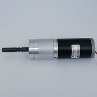 Motor de Engranajes Planetarios 53ZY54HX 24V 60W para Carrito de Golf Eléctrico, Carrito de Golf a Control Remoto, Carrito para Exteriores, Motores Tubulares