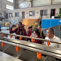 Línea de Producción de Papas Fritas Francesas de Acero Inoxidable 304, Nueva, Comercial, Automática, Incluye Freidora