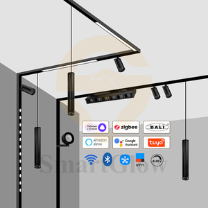 Tùy Chỉnh Từ LED Theo Dõi Đèn Siêu Mỏng Đường Sắt Thông Minh Từ Tuyến Tính Theo Dõi Ánh Sáng Cực Hẹp 24V Nam Châm Theo Dõi Ánh Sáng - Product Image 6