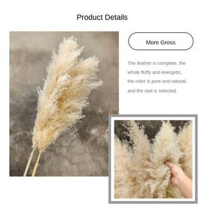 Grand bouquet <span class=keywords><strong>de</strong></span> fleurs séchées d'herbe <span class=keywords><strong>de</strong></span> la <span class=keywords><strong>pampa</strong></span>, style nordique, pour décoration <span class=keywords><strong>de</strong></span> mariages et <span class=keywords><strong>de</strong></span> fêtes, fleurs artificielles en gros - Product Image 5