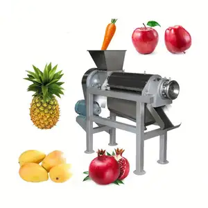 commercial carrot orange apple juice extractor production line from luohe