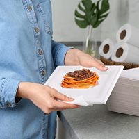 Sac en bagasse de canne à sucre biodégradable 100% naturel, blanc, résistant, sans BPA, compostable, personnalisable, de qualité alimentaire, jetable