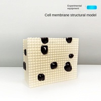 Modèle de structure de membrane cellulaire J33303, structure à trois couches, organisation des protéines, des lipides, des molécules, biologique