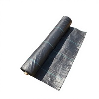 Toile anti-mauvaises herbes perforée résistante aux déchirures, tissu respirant en PP pour jardin potager personnel et plantation en petite ferme