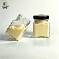 Pot en verre carré miniature personnalisé de 170 ml, récipient transparent vide pour chutney, commande en gros pour marques