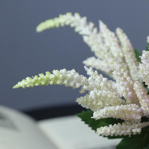 Astilbe artificiel de fleur de tige courte de haute qualité pour la décoration intérieure - Product Image 4