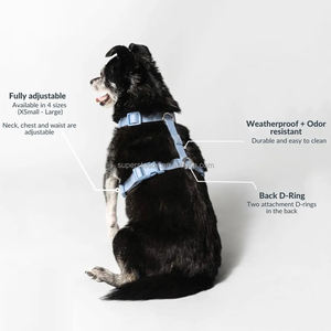 快適なPVCコーティングされたウォーキングハーネス男の子用女の子犬用メンテナンスデザイン悪天候に耐える重い使用プラスチック - Product Image 5