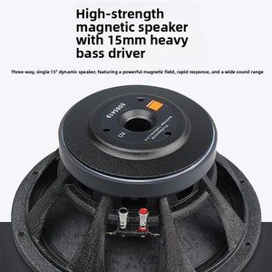 Haut-parleur professionnel passif 3 voies pleine gamme R2 700W avec pavillon à cornet tri-amplifié pour bars, clubs, karaokés, concerts et scènes audio R2 High- - Product Image 3