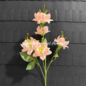 ดอกบัวหิมะประดิษฐ์ 5 หัว <span class=keywords><strong>สี</strong></span>แชมเปญ MSH สำหรับตกแต่งห้องนั่งเล่น - Product Image 2