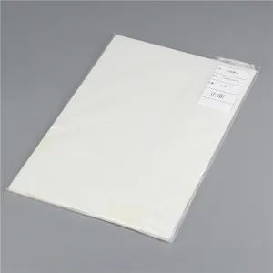 Yazdırılabilir vinil levhalar DTF kağıt A3 + A3 artı 13 inç 13X19 13 "X 19" PET ısı transfer DTF Film 13X19 Epson