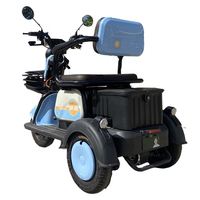 Putian Popular Design Low Price Second Hand Electric Car Recreational Tricycle for Sell