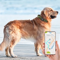 Collier Réfléchissant Ajustable pour Chat et Chien avec Support Airtag en Polyester de Luxe, Détachable