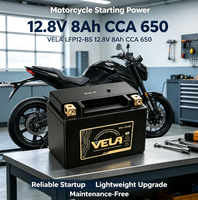 Grosir Baterai Motor VELA LFP12-BS 12.8V 8Ah LiFePO4 Ringan, Starter Sport Bertenaga Tinggi, CCA 650, Bersertifikasi CE, Garansi 2 Tahun