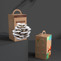 Boîte de culture de champignons personnalisée avec impression, kit de culture de champignons, boîtes d'emballage en carton pour la culture de champignons