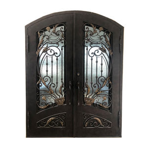 Portes d'entrée arquées en fer forgé, portes d'entrée extérieures simples et doubles en fer à coupure thermique - Product Image 1